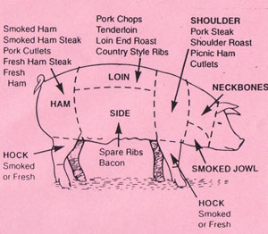 PIG